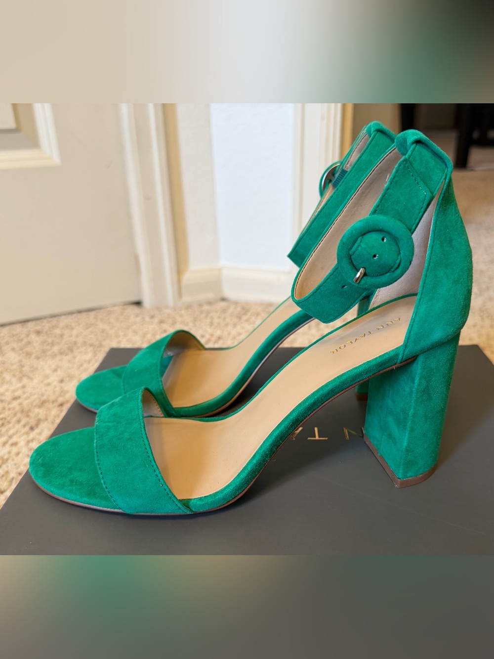 NWB Ann Taylor Leannette Suede Block Heels in Green, Size 8